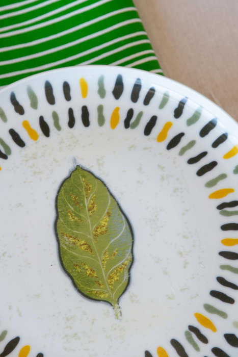 Hermia Juego de Desayuno de Porcelana de 14 Piezas en Blanco, Verde y Amarillo Hermia Juego de Desayuno de Porcelana de 14 Piezas en Blanco, Verde y Amarillo